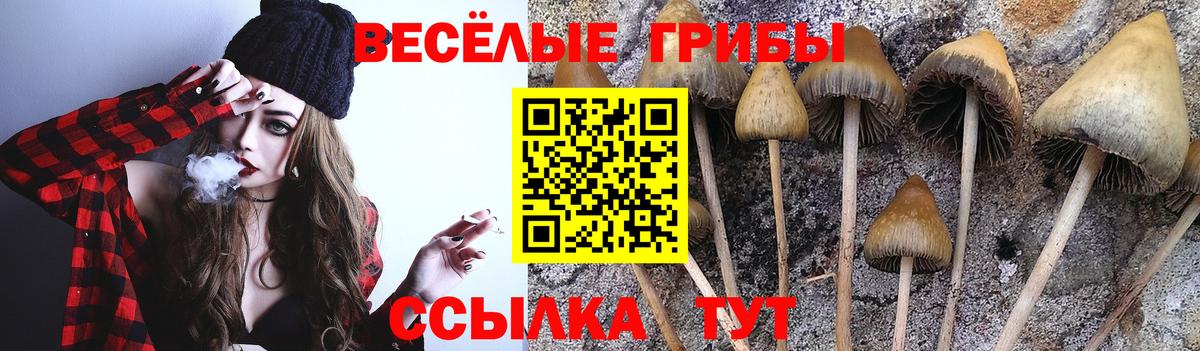 Псилоцибиновые грибы прущие грибы  Вход с VPN  Галлюциногенные грибы Psilocybine cubensis  Калач-на-Дону 